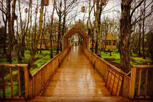 پل چوبی چمخاله و پارک جنگلی توسکا